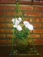 /products/kokedama-floral/